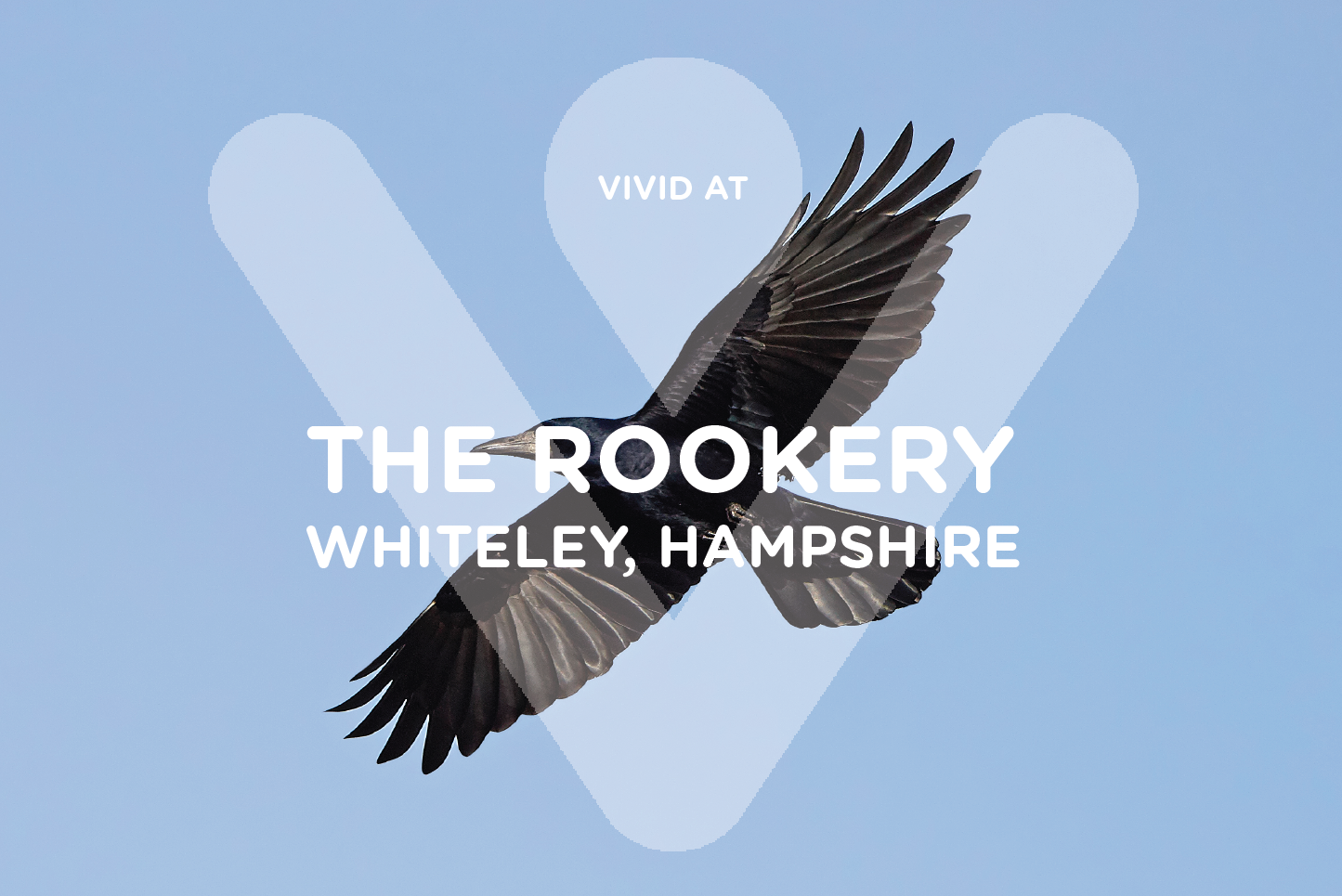 The Rookery Logo
